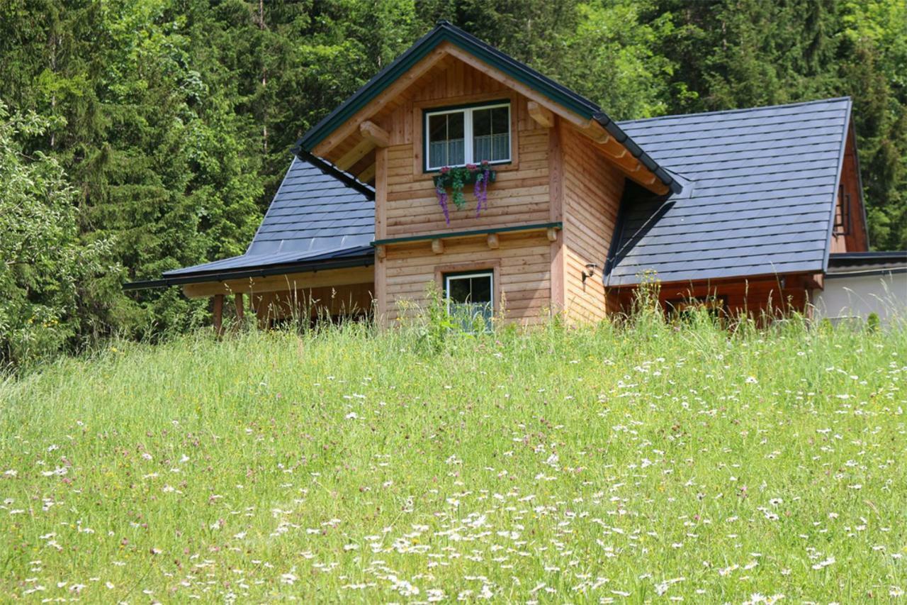 Forstauer'S Teichalm Villa Gams bei Hieflau Exterior photo